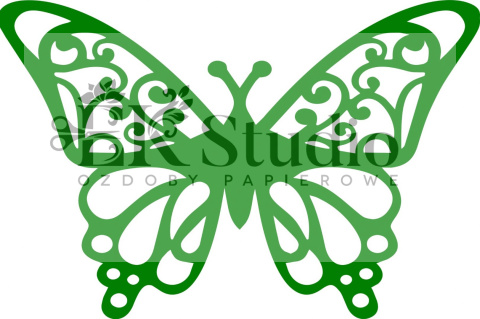 Motyl Motyl