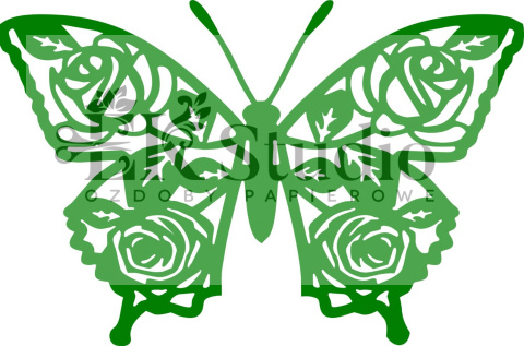 Motyl Motyl