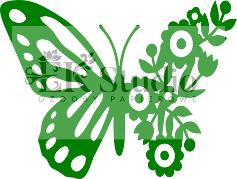 Motyl Motyl