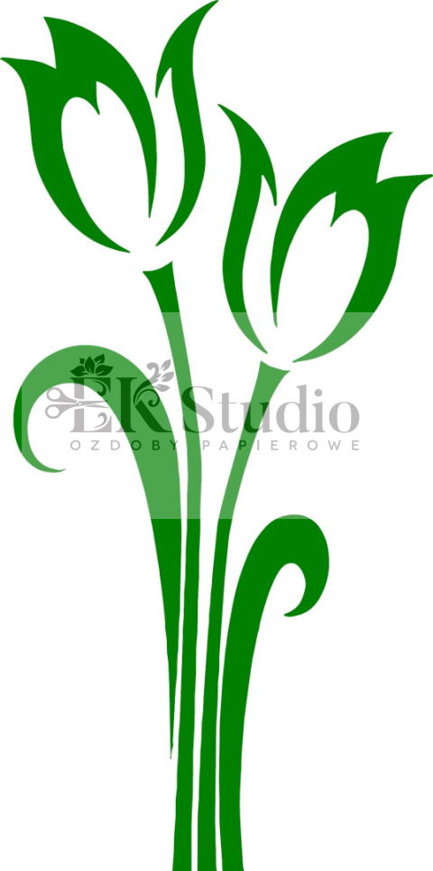 Tulipan