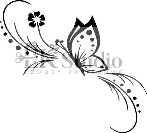 motyl motyl