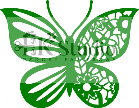 Motyl Motyl