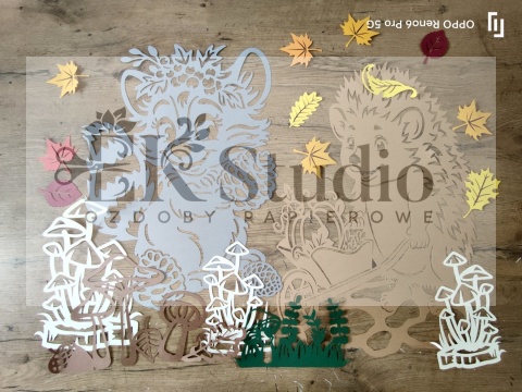 Szop i jeż w przyjaźni