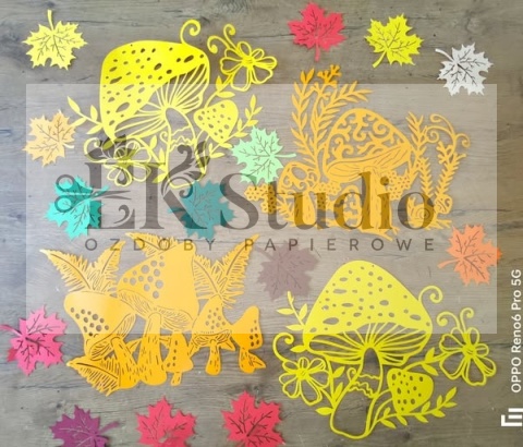 Zestaw grzybków jesiennych